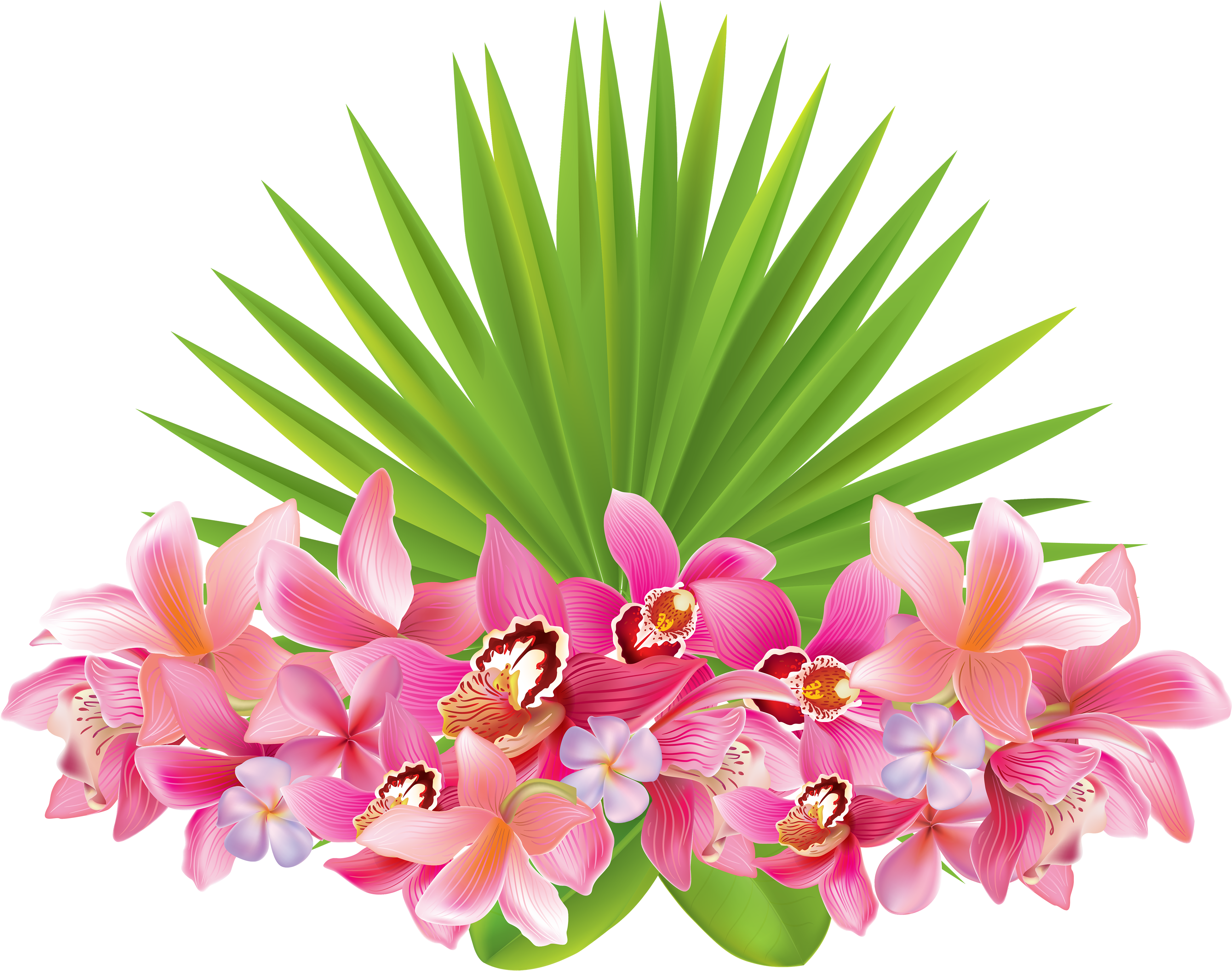 Summer Tropical Watercolor Clipart, Parrot Tropical - Tag Tropical Png Transparent PNG - 600x473 - Free Download on - Summer Transparent PNG Free Download