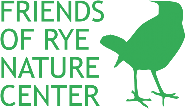 The Friends Of Rye Nature Center's Summer Day Camp - White Gloss Removable Paper Butt-cut Roll Labels ( - Free Transparent PNG Clipart Images Download. - Summer Transparent PNG Free Download
