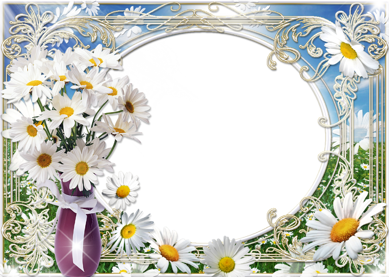 Summer Photo Frame Bouquet Of Daisies - Natural Wellness Strategies For Pregnancy By Laurel Transparent PNG - 1280x914 - Free Download on - Summer Transparent PNG Free Download