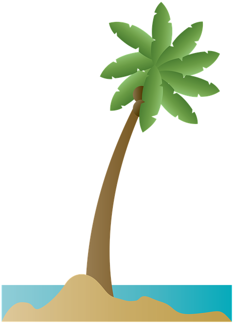 Palm Tree Palm Coconut Beach Summer Ocean Sea - Playa Ilustracion Png - Free Transparent PNG Clipart Images Download. - Summer Transparent PNG Free Download