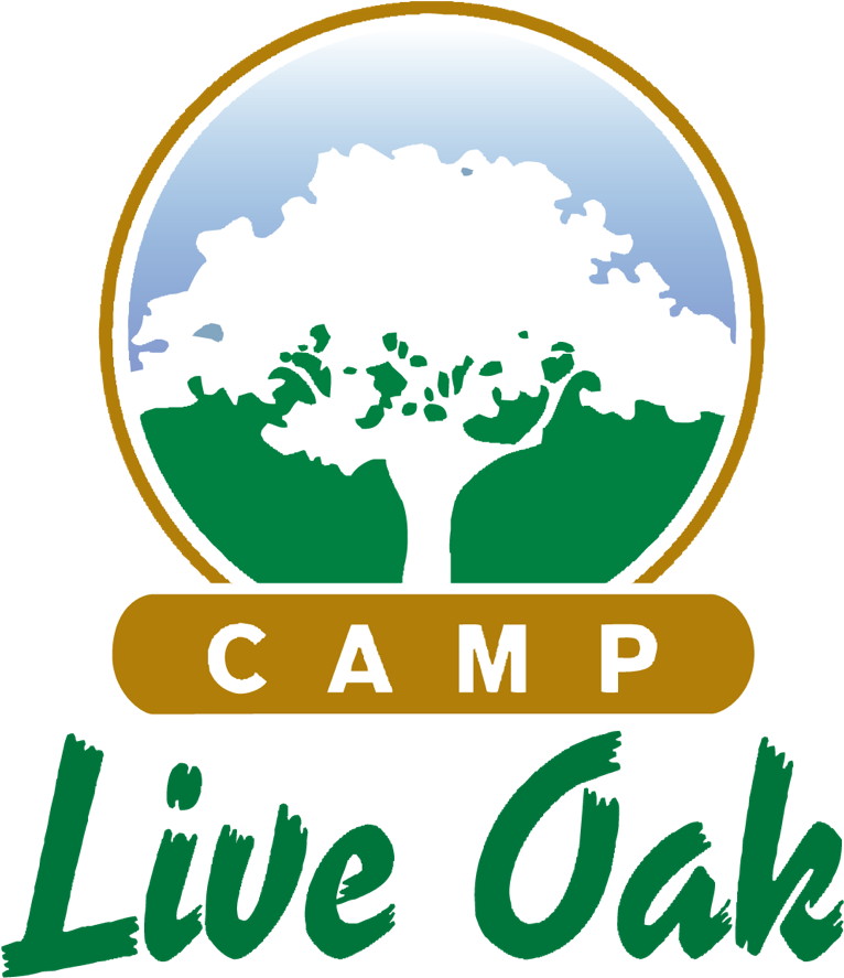 Amazing Outdoor Summer Camp Located In Fort Lauderdale - Plastic Bottle Transparent PNG - 960x1106 - Free Download on - Summer Transparent PNG Free Download