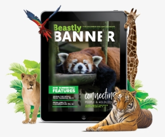 Beastly Banner Summer/fall - Siberian Tiger, HD Png Download - Summer Transparent PNG Free Download