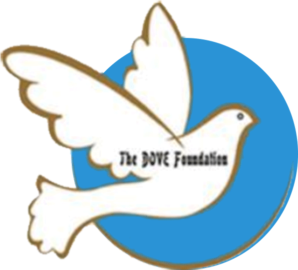 World Of Work Summer Internship Blog Graphic Design - Dove - Free Transparent PNG Clipart Images Download. - Summer Transparent PNG Free Download