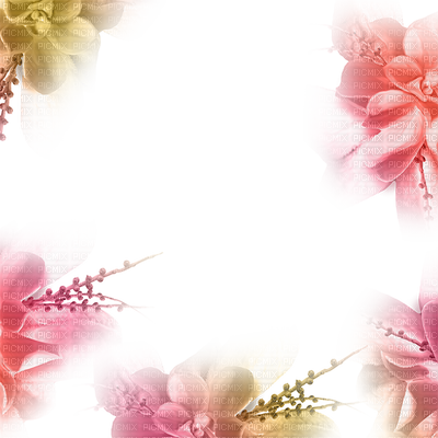 Summer Background Vector Png Zapz Yellow Orange Pink - Summer Flower Frame Png - Free Transparent PNG Clipart Images Download. - Summer Transparent PNG Free Download
