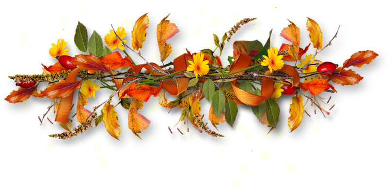 Good Morning To All The Readers Of Golos - Petite Fleur D Automne Transparent PNG - 800x397 - Free Download on - Summer Transparent PNG Free Download