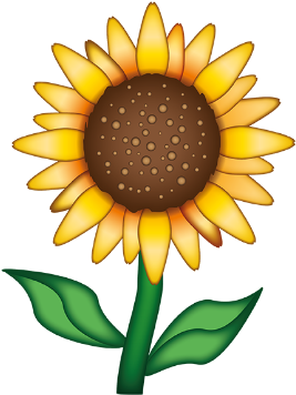55 Images About Overlays On We Heart It - Official Emoji Happy Summer Hard Back Case - Free Transparent PNG Clipart Images Download. - Summer Transparent PNG Free Download