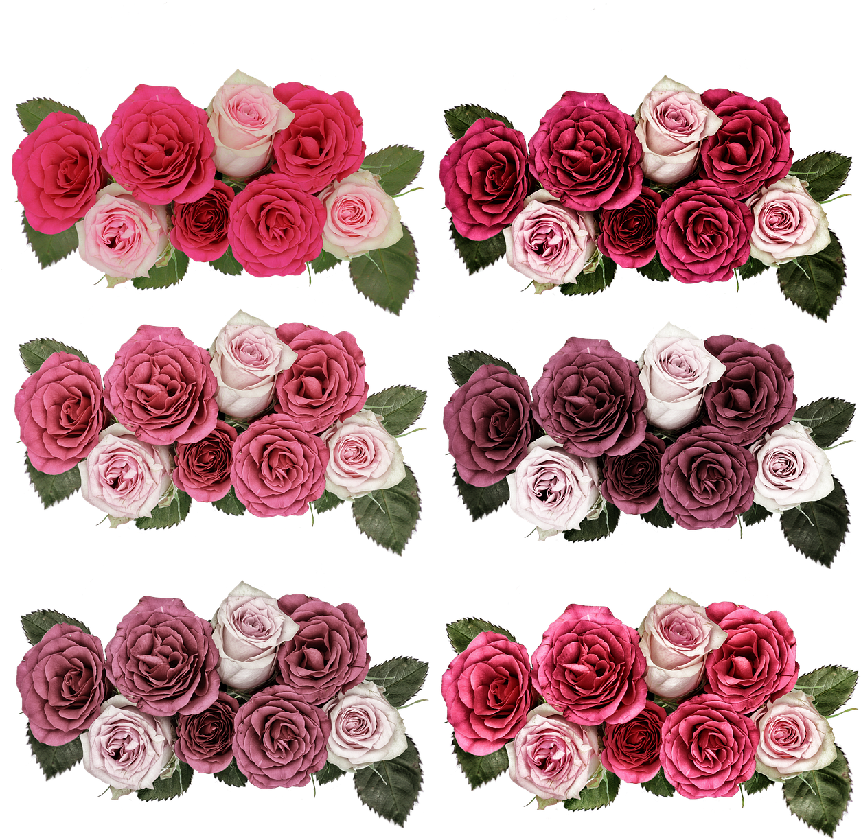 Roses,flowers,rose - Png Jardim De Flores Transparent PNG - 500x500 - Free Download on - Summer Transparent PNG Free Download