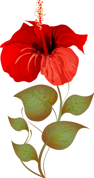 A Bouquet Of Summer Flowers Clip Art - Flawar Clip Arts - Free Transparent PNG Clipart Images Download. - Summer Transparent PNG Free Download