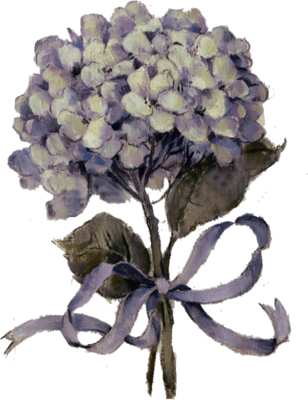 Psd Detail - Barbara Mock - Summer Bouquet Of Blues Ii - Free Transparent PNG Clipart Images Download. - Summer Transparent PNG Free Download