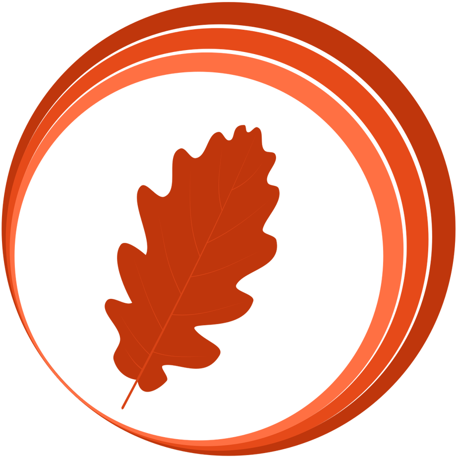 Autumn, Spring, Summer - Primavera Verano Otoño Invierno Png - Free Transparent PNG Clipart Images Download. - Summer Transparent PNG Free Download