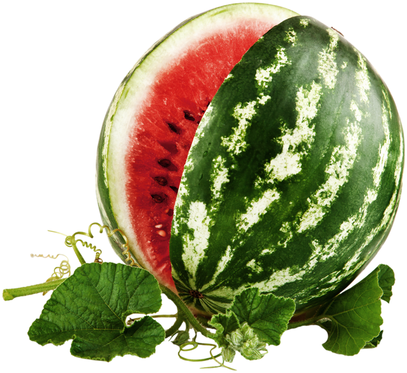 Watermelon Wallpaper, Spring Green, Summer Fun, Pink, - Watermelon Isolated On White Background - Free Transparent PNG Clipart Images Download. - Summer Transparent PNG Free Download