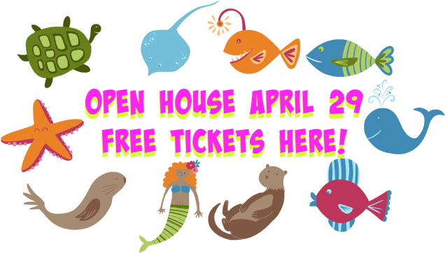 We Hope The Above Descriptions Of Aloha's Summer Camp - Mermaid Tote Bag, Adult Unisex, Orange - Free Transparent PNG Clipart Images Download. - Summer Transparent PNG Free Download