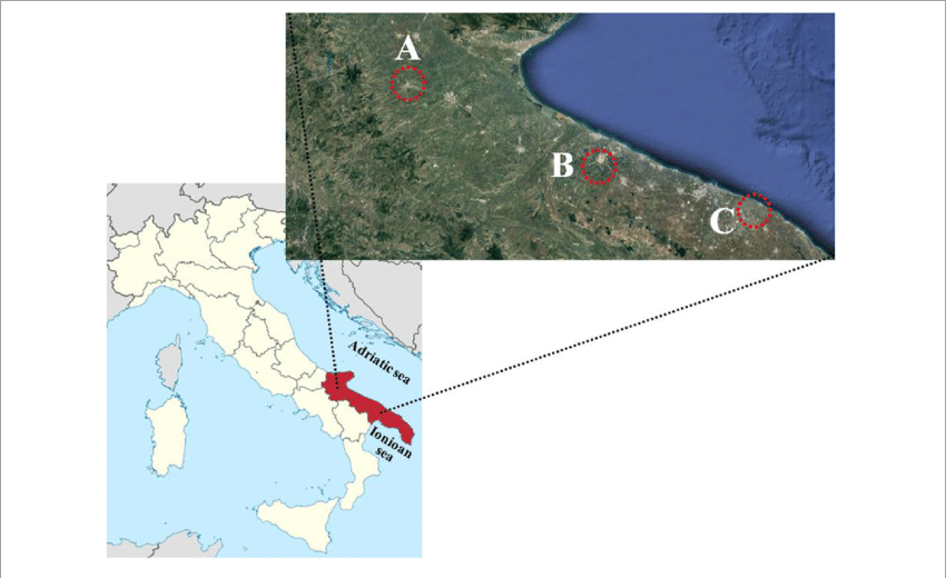 Map Of Italy With Puglia Region In Red And The Areas - Italy Transparent PNG - 850x520 - Free Download on - Summer Transparent PNG Free Download