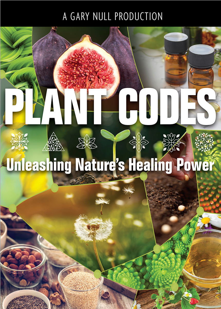 Unleashing Nature's Healing Power Dvd - Summer Of Annah: A Midsummer's Wish Transparent PNG - 1200x1200 - Free Download on - Summer Transparent PNG Free Download