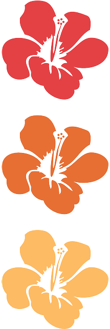 Flower, Flowers, Summer, Hawaii, Floral - 하와이 Png - Free Transparent PNG Clipart Images Download. - Summer Transparent PNG Free Download