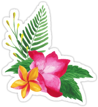 Summer Watercolor Beautiful Tropical Flower By Barcelonashop - Chinese Hibiscus - Free Transparent PNG Clipart Images Download. - Summer Transparent PNG Free Download