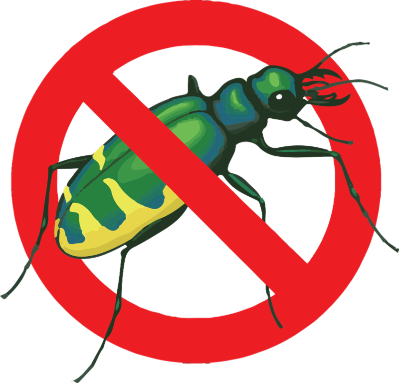 With Labor Day Marking The Unofficial End Of Summer, - With Labor Day Marking The Unofficial End Of Summer, - Free Transparent PNG Clipart Images Download. - Summer Transparent PNG Free Download