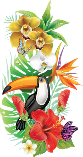 Bzikolya Альбом «цветы» На Яндекс - Fleur Des Iles Dessin - Free Transparent PNG Clipart Images Download. - Summer Transparent PNG Free Download