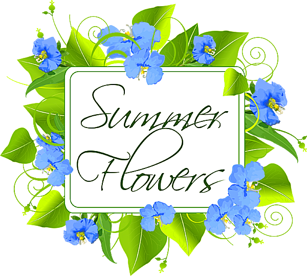 A Bouquet Of Summer Flowers Clip Art - Transparent Blue Mother's Day - Free Transparent PNG Clipart Images Download. - Summer Transparent PNG Free Download