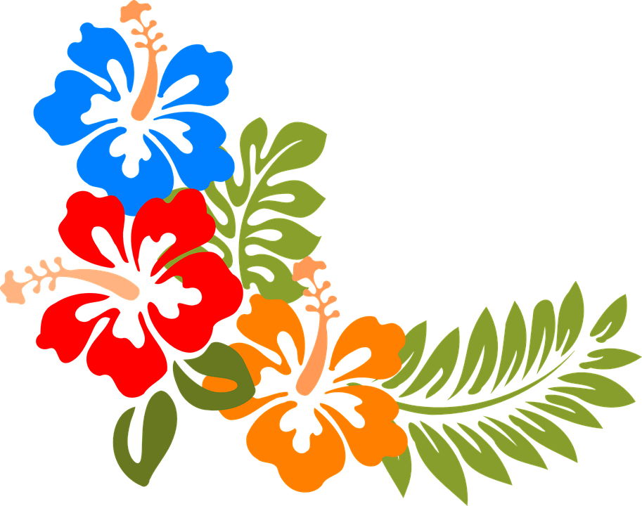 Summer Flower Cliparts 10, Buy Clip Art - Hibiscus Clipart - Free Transparent PNG Clipart Images Download. - Summer Transparent PNG Free Download