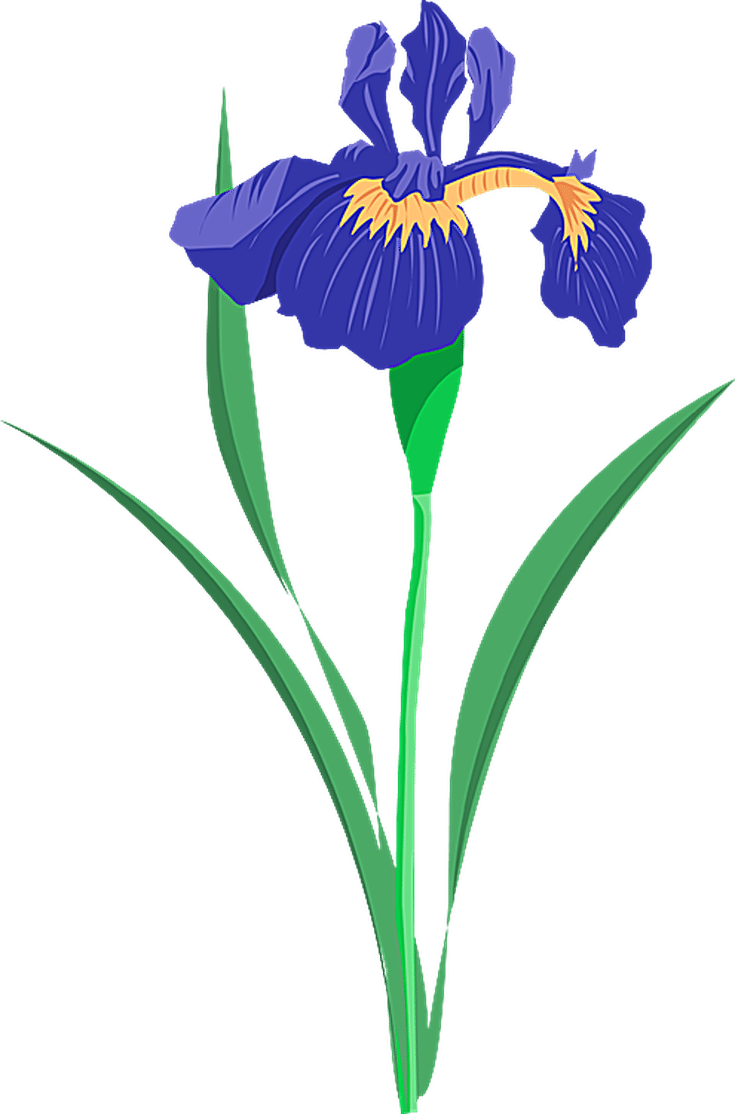 Grab This Free Summer Flower Clip Art - Purple Iris Clip Art - Free Transparent PNG Clipart Images Download. - Summer Transparent PNG Free Download