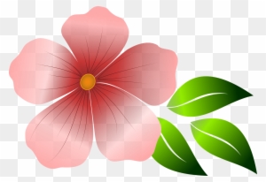 Flower, Pink Flower, Spring, Summer, Garden, Flowers - Flower Graphic - Free Transparent PNG Clipart Images Download. - Summer Transparent PNG Free Download