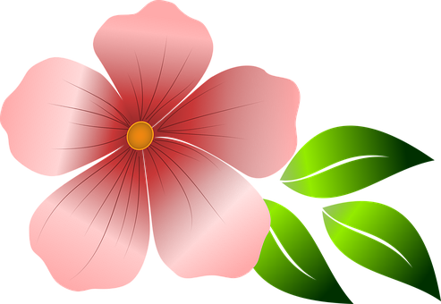 Flower, Pink Flower, Spring, Summer - Flores Rosadas Vectores Png - Free Transparent PNG Clipart Images Download. - Summer Transparent PNG Free Download