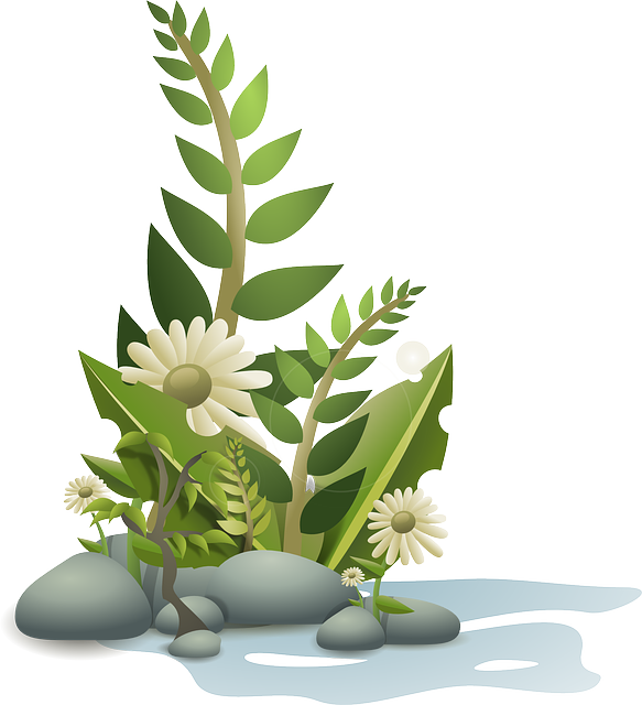 Flower, Plant, Tropical, Nature, Garden, Summer, Floral - Plants Clipart Png - Free Transparent PNG Clipart Images Download. - Summer Transparent PNG Free Download