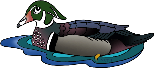 South Carolina State Duck - Waterfowl Clip Art - Free Transparent PNG Clipart Images Download. - Summer Transparent PNG Free Download
