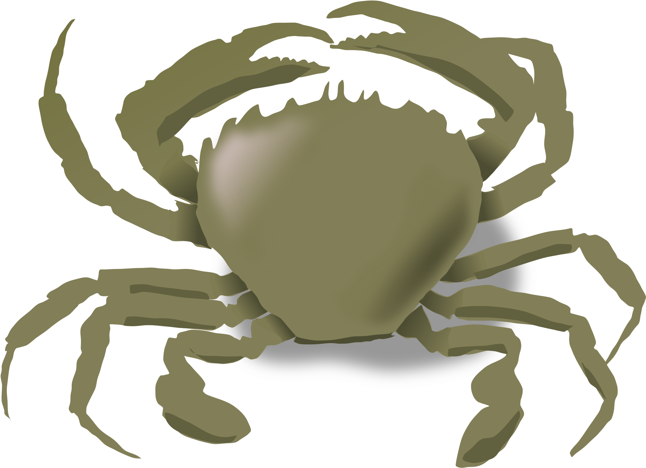 Crabs, Summer, Beach, Animals, Crab, Sea Life, Food, - Animals Live In Water And Land - Free Transparent PNG Clipart Images Download. - Summer Transparent PNG Free Download