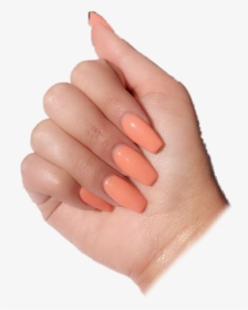 #nails #nail #pngs #arianagrandeedit #pink #pastel - Summer Nails, Transparent - Summer Transparent PNG Free Download