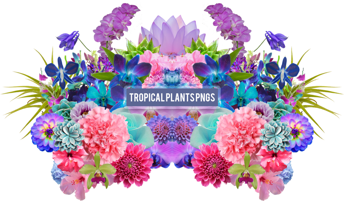 Tropical Plants Png's By Summer To The Spring - Pack Png Plantas - Free Transparent PNG Clipart Images Download. - Summer Transparent PNG Free Download