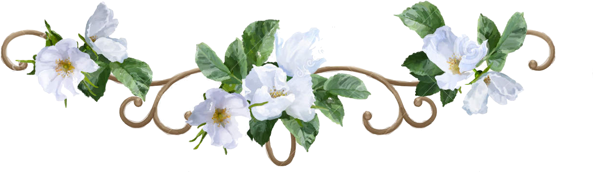 Watercolor Flower Border Decorative Painting White - Flower Watercolor Png Border - Free Transparent PNG Clipart Images Download. - Summer Transparent PNG Free Download
