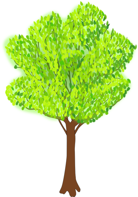 Coconut Tree Animated 11, Buy Clip Art - Clipart Of Tree In Summer - Free Transparent PNG Clipart Images Download. - Summer Transparent PNG Free Download