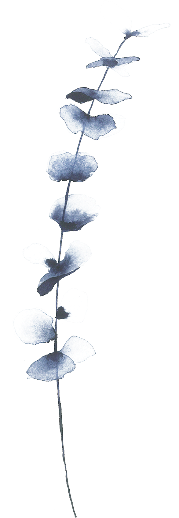 Of A Friends Wedding In The Summer Of - Necklace Transparent PNG - 1920x1796 - Free Download on - Summer Transparent PNG Free Download