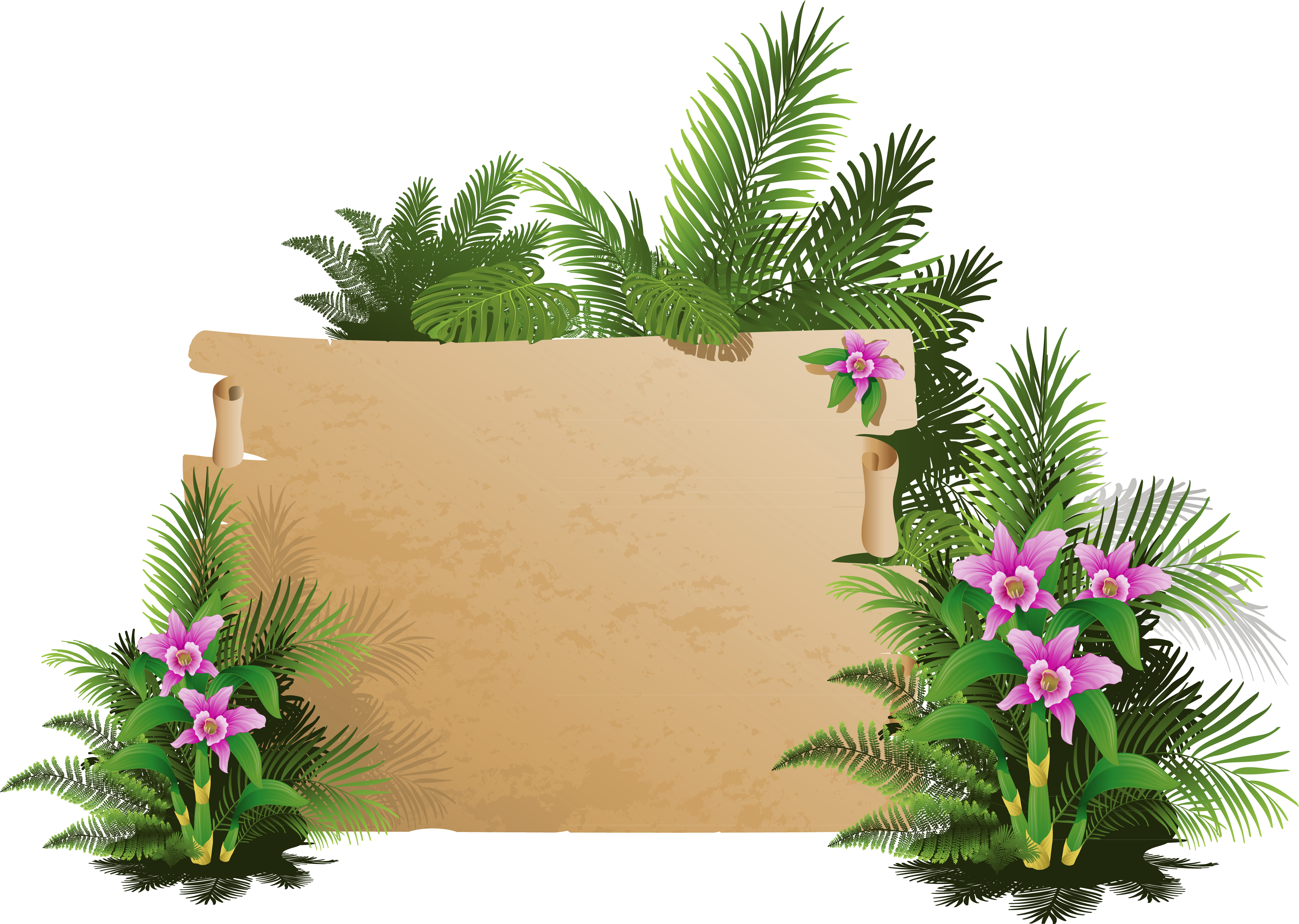 Summer Exotic Board Png Clipart - Mensagens De Otimismo Com Bom Dia - Free Transparent PNG Clipart Images Download. - Summer Transparent PNG Free Download