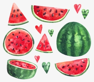 Summer Citrullus Ice Euclidean Vector Watermelon Lanatus - وکتور هندوانه شب یلدا Transparent PNG - 2024x1771 - Free Download on - Summer Transparent PNG Free Download
