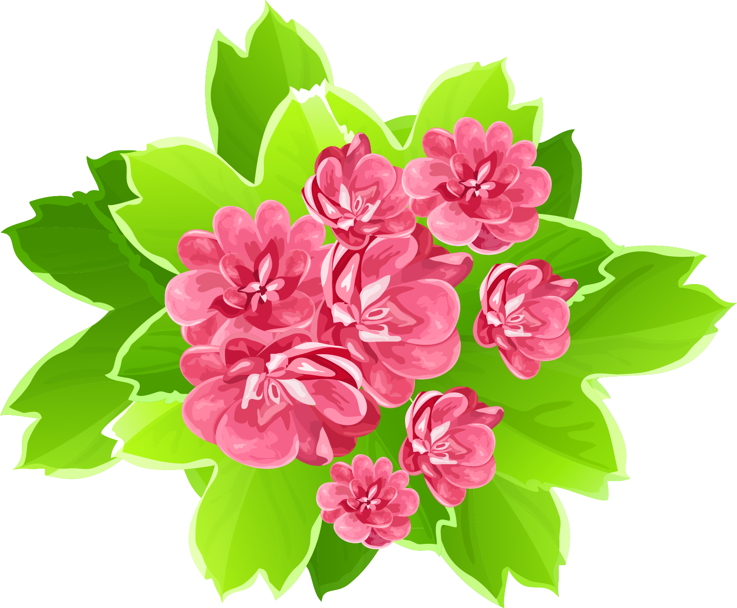 Gorgeus Clipart Summer Flower - Beautiful Flower Clipart Png Transparent PNG - 1481x1222 - Free Download on - Summer Transparent PNG Free Download
