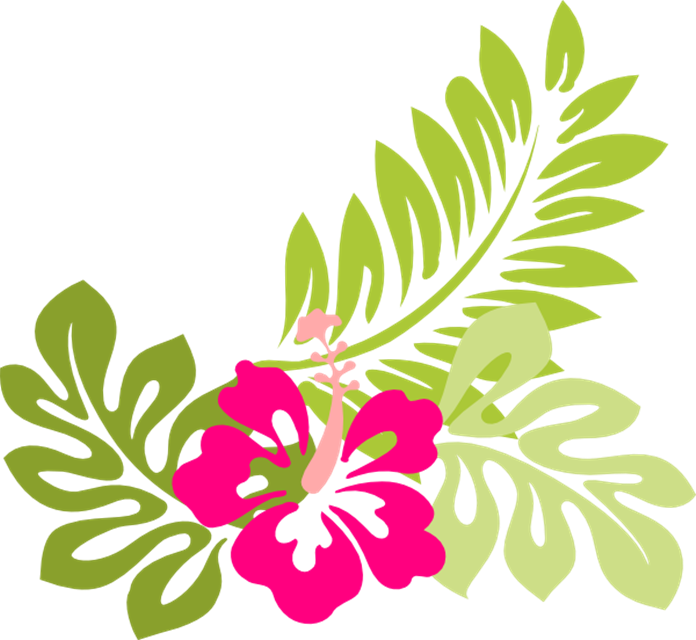 Summer Flowers Clipart Butterfly And Flowers - Hawaiian Flower Png - Free Transparent PNG Clipart Images Download. - Summer Transparent PNG Free Download