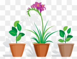 Http - //i687 - Photobucket - Com/albums/vv237/4 One/4 - Spring Into Summer - Free Transparent PNG Clipart Images Download. - Summer Transparent PNG Free Download