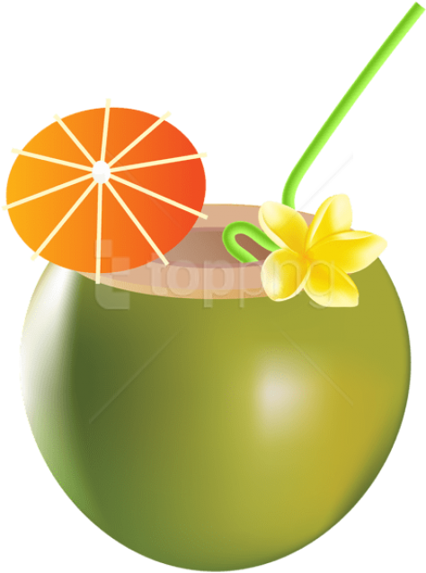 Download Summer Drink Clipart Png Photo - Summer Drink Clipart Transparent PNG - 480x646 - Free Download on - Summer Transparent PNG Free Download