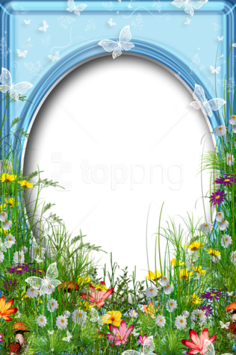 Free Png Best Stock Photos Cute Png Summer Photo Frame - Fantasy Photo Frame Background Transparent PNG - 480x720 - Free Download on - Summer Transparent PNG Free Download