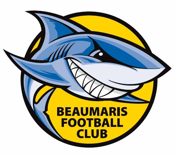 Published In Herald Sun On 03/04/2018 - Beaumaris Fc - Free Transparent PNG Clipart Images Download. - Sun Transparent PNG Free Download