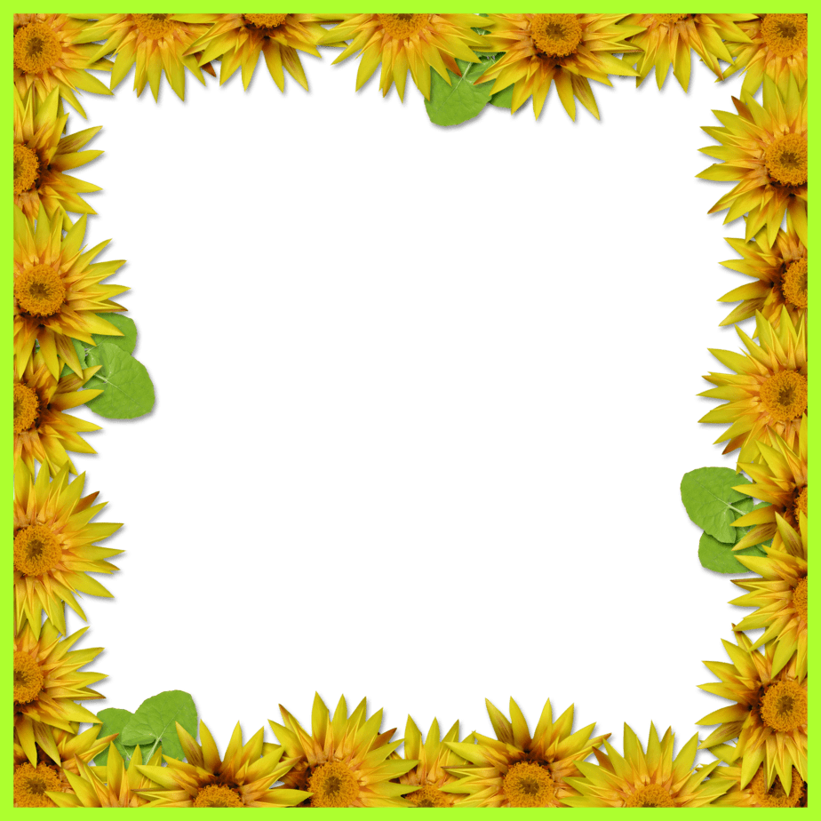Sun Flower Sunflower Frame Png Incredible Bie Arrow - Sunflower Border Design - Free Transparent PNG Clipart Images Download. - Sun Transparent PNG Free Download