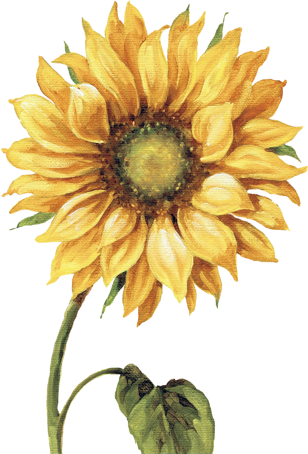 Çiçekler Png Clipart Lisa Audit - Lisa Audit - Under The Sun I Canvas - Free Transparent PNG Clipart Images Download. - Sun Transparent PNG Free Download