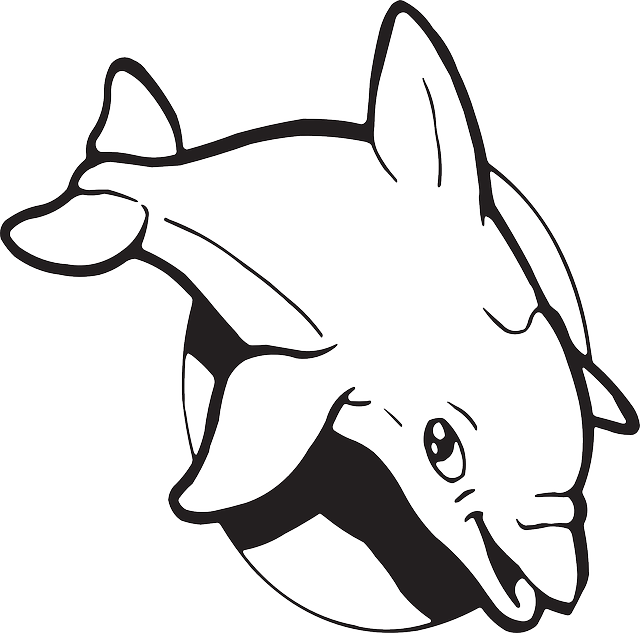 Dolphin Clipart, Suggestions For Dolphin Clipart, Download - Golfinho Sun De Florida Camiseta - Free Transparent PNG Clipart Images Download. - Sun Transparent PNG Free Download