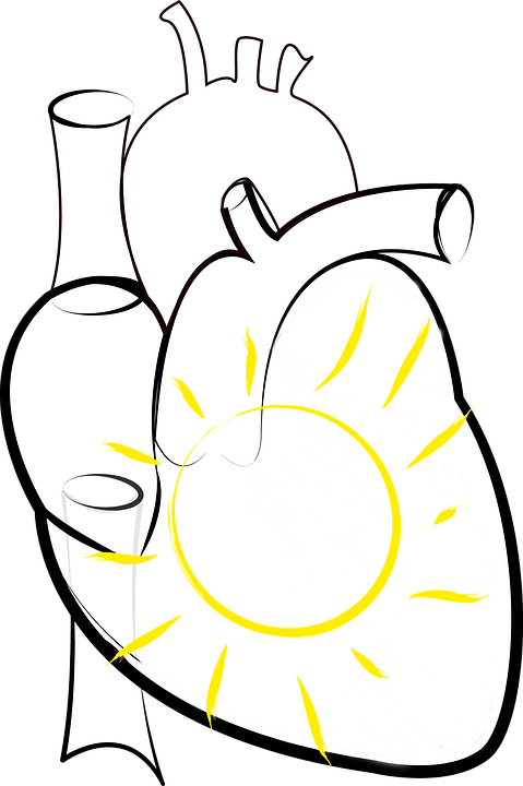 Heart, Sun, Sun In The Heart, Figure Of Speech, Png - Heart Outline Medical Transparent PNG - 479x720 - Free Download on - Sun Transparent PNG Free Download