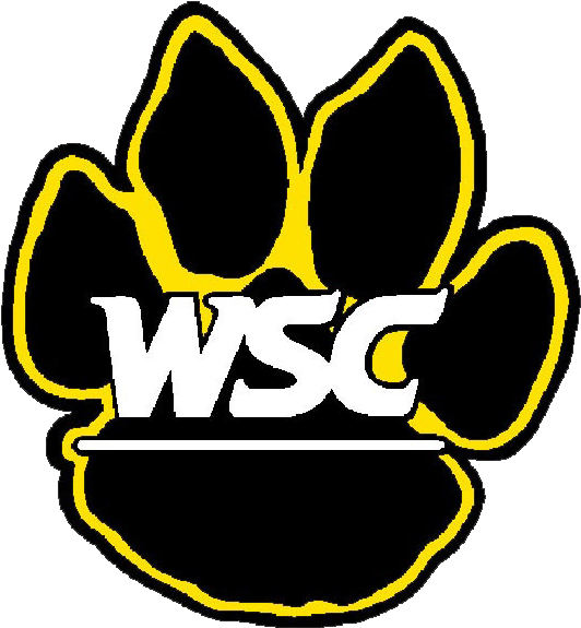 Wayne State Baseball Scores, Results, Schedule, Roster - Wayne State College Football - Free Transparent PNG Clipart Images Download. - Sun Transparent PNG Free Download