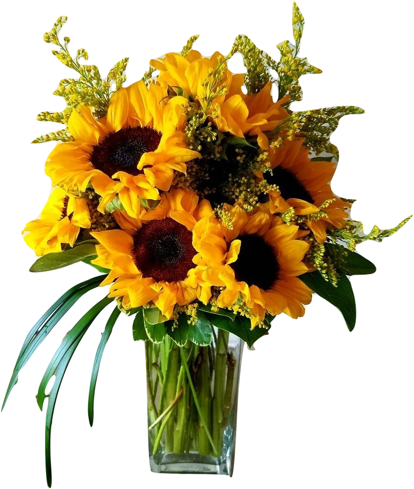 Autumn Sun - Feliz Cumpleaños Rosas Preciosas - Free Transparent PNG Clipart Images Download. - Sun PNG Autumn Sun - Feliz Cumpleaños Rosas Preciosas - Free Transparent PNG Clipart Images Download. - Sun Transparent PNG Free Download