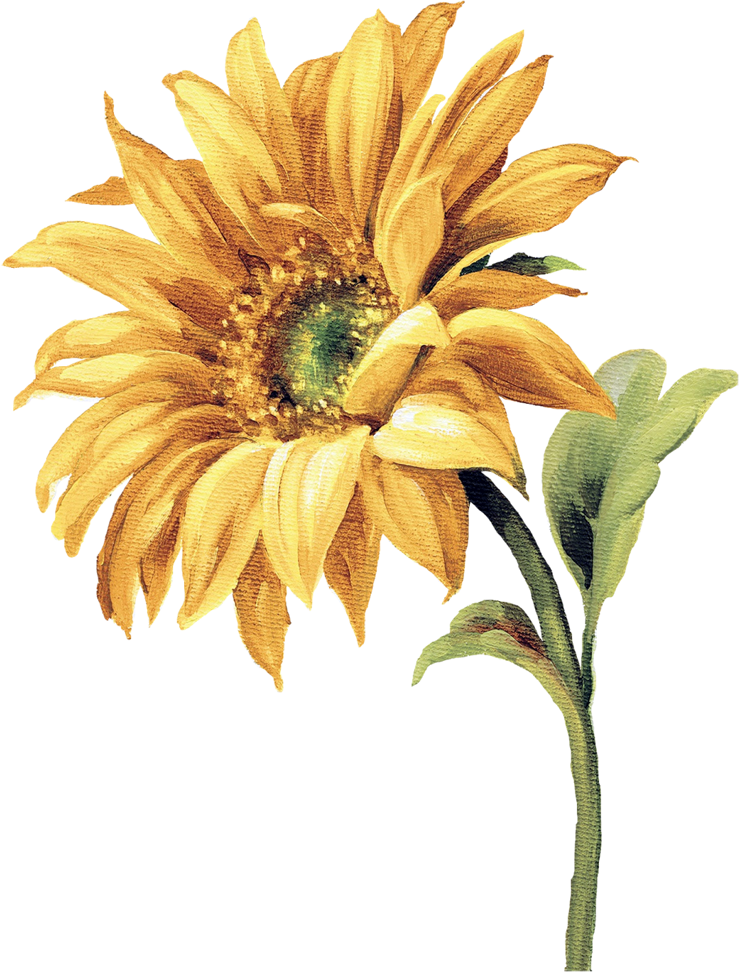 Watercolor Sunflower, Watercolor Flowers, Watercolor - Sun Flower Painting Png Transparent PNG - 1181x1600 - Free Download on - Sun Transparent PNG Free Download